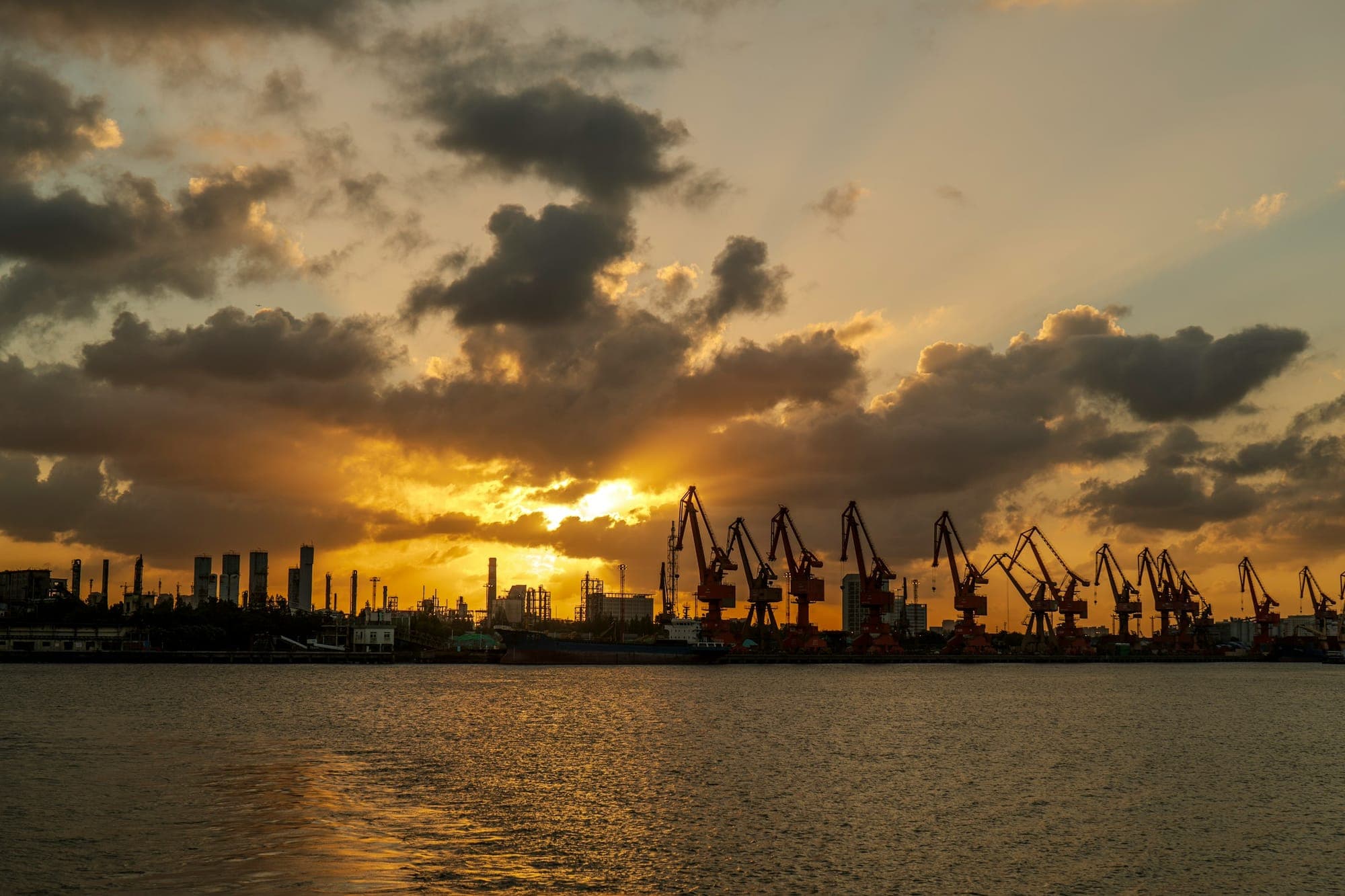 Grues portuaires au coucher du soleil